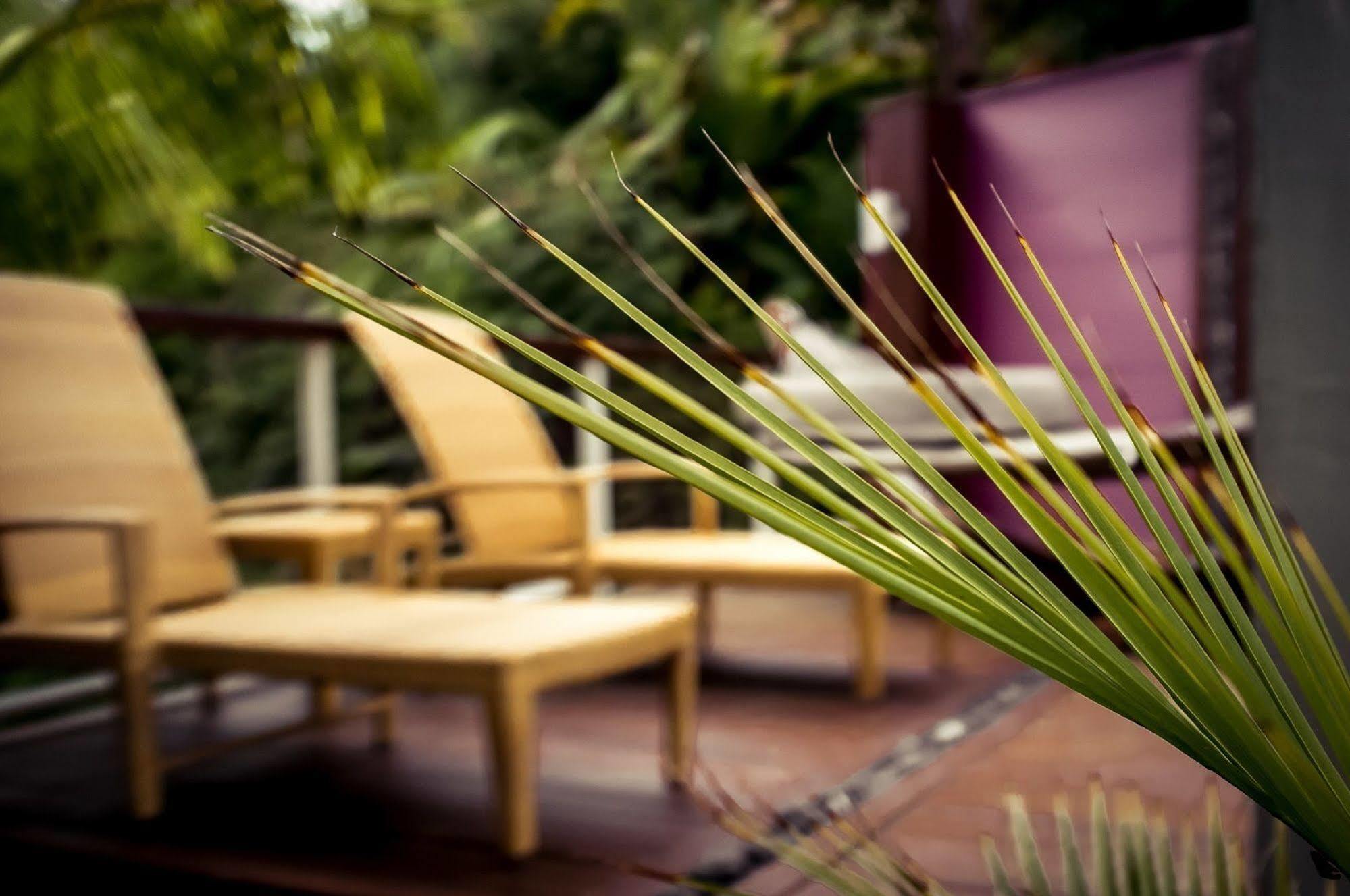 Sanctuary Palms Apartment Paihia Bagian luar foto
